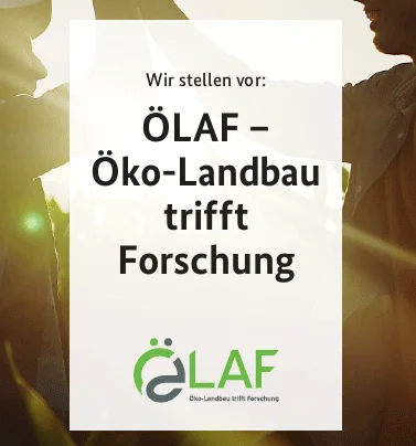 Ausschnitt Ölaf-Flyer