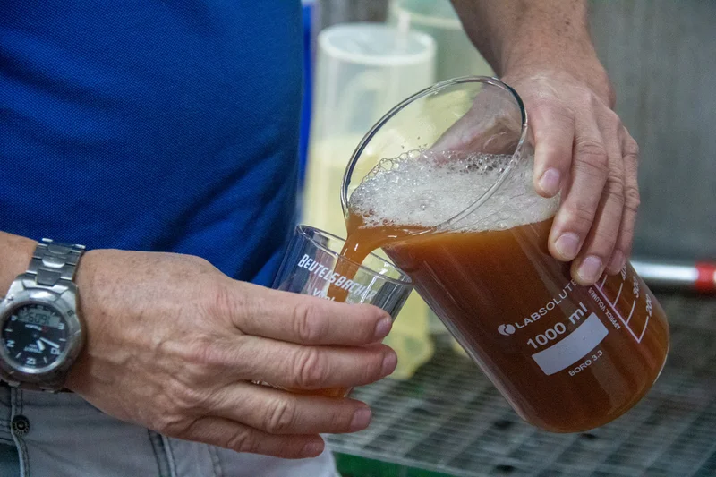 Naturtrüber Saft wird analysiert. Klick führt zu Großansicht in neuem Fenster.