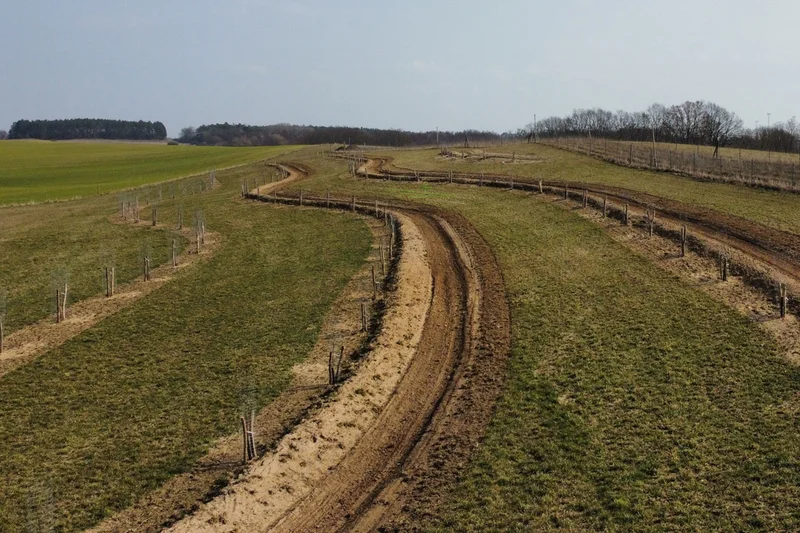 Keylines mit jungen Bäumen, dazwischen Grünland. Klick führt zu Großansicht in neuer Lightbox, Schließen per ESC.