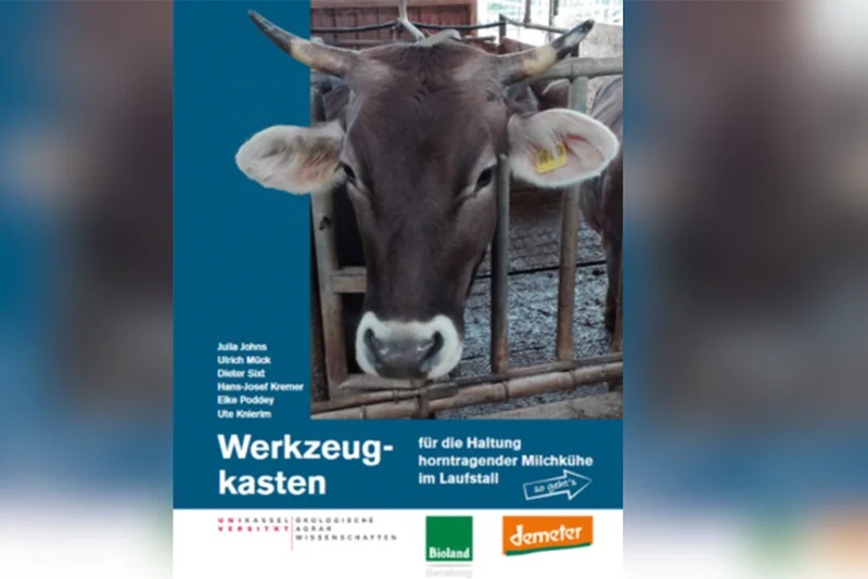 Hörner im Laufstall – Empfehlungen aus Wissenschaft, Beratung und Praxis