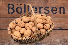 Walnussmeisterei Böllersen