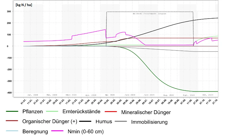 Grafik der modellierten N-Flüsse unter Weißkohl nach N-Expert. Klick führt zu Großansicht.