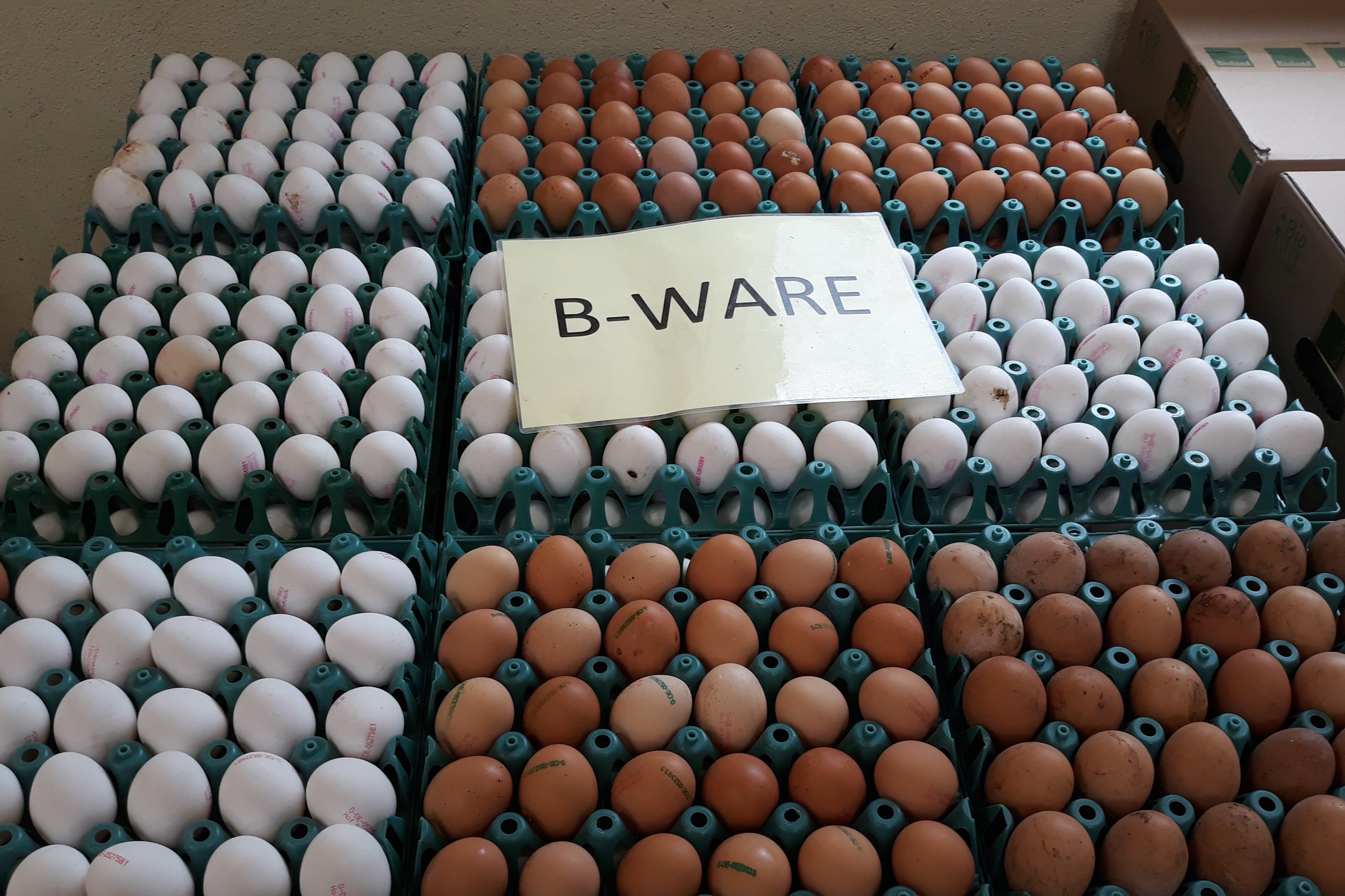 Bio-Eier mit Mängeln