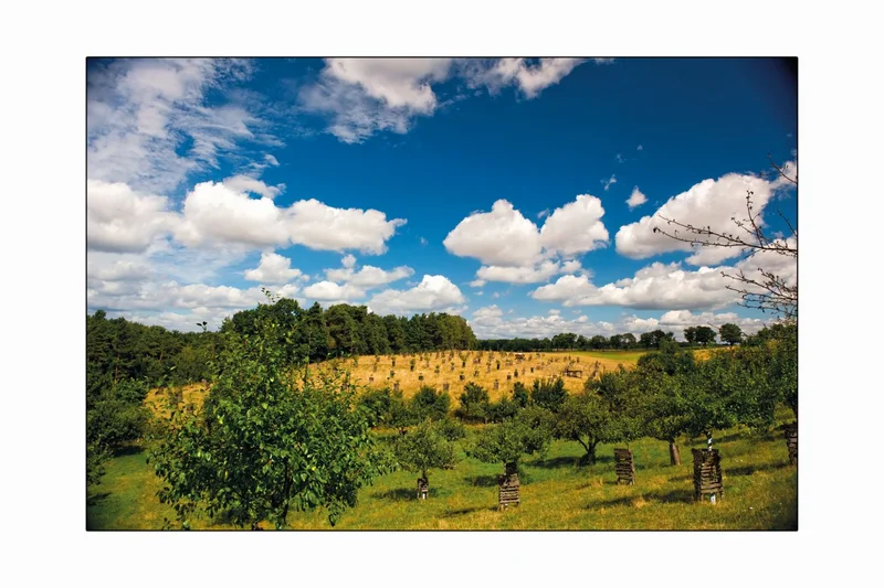 Landschaftsbild