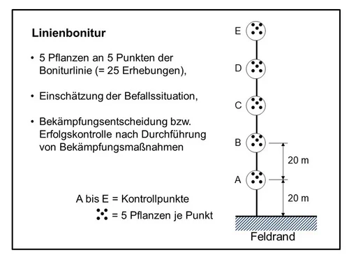 Grafik zur Linienbonitur. Klick führt zu Großansicht in neuem Fenster, zum Schließen ESC.