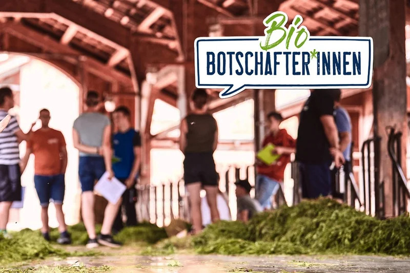 Eine Kuh im Stall. Im Hintergrund junge Menschen, die im Stall stehen. Am rechten Bildrand oben steht in einer Sprechblase "BioBotschafter*innen". Klick führt zu Großansicht.