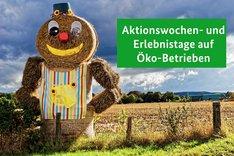 Ein Strohmännchen auf einem Feld. Daneben steht in einem grünen Kasten "Aktionswochen- und Erlebnistage auf Öko-Betrieben". Klick führt zu Großansicht.