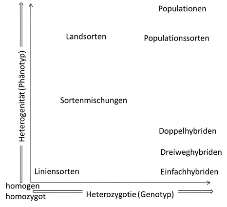 Grafik