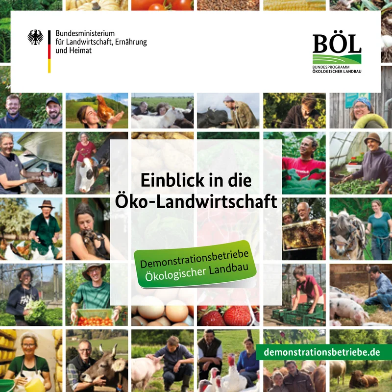 Titel des Projektflyers mit vielen kleinen Bildern von Landwirtinnen und Landwirten aus dem Netzwerk