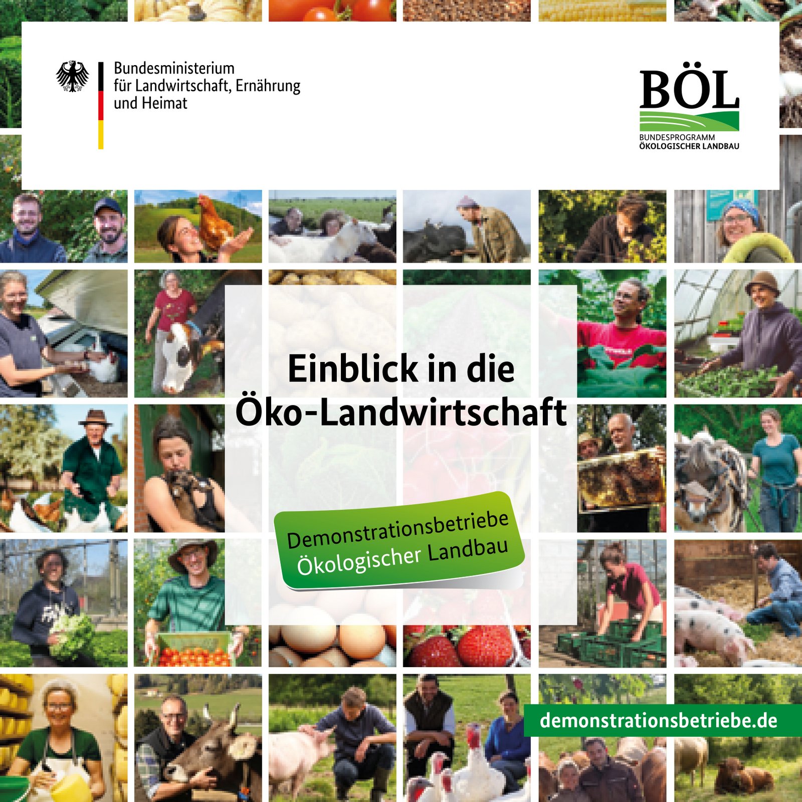 Titel des Projektflyers mit vielen kleinen Bildern von Landwirtinnen und Landwirten aus dem Netzwerk