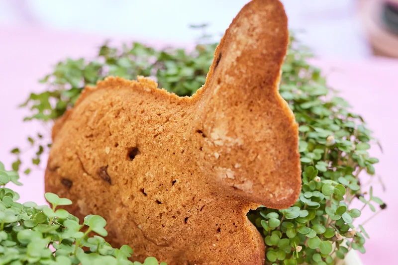 Süßer Osterhalse, Foto: Marcus Gloger