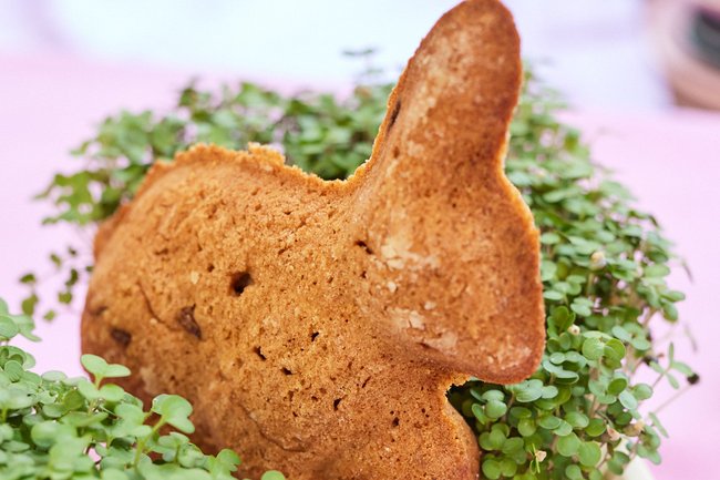 Süßer Osterhase im Blumentopf. 