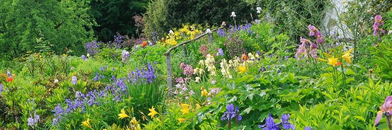 Blick auf einen Garten mit blühenden Pflanzen.
