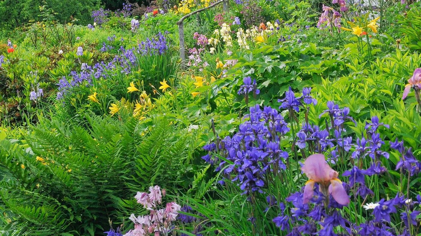 Blick auf einen Garten mit blühenden Pflanzen.