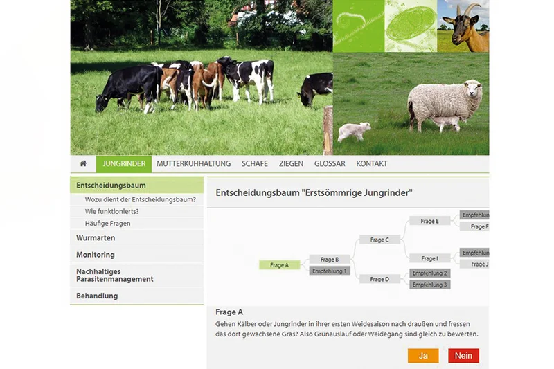 Screenshot Online-Hilfe