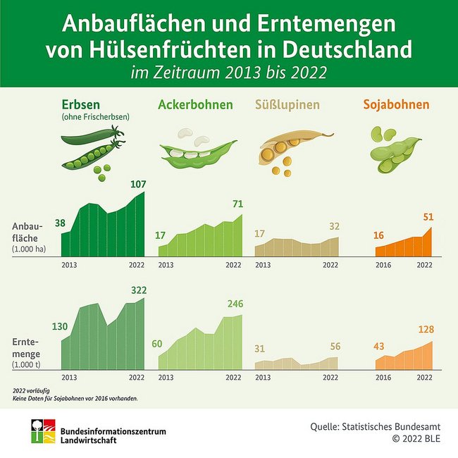 Infografik zu Anbaufläche und Erntemenge von Hülsenfrüchten in Deutschland