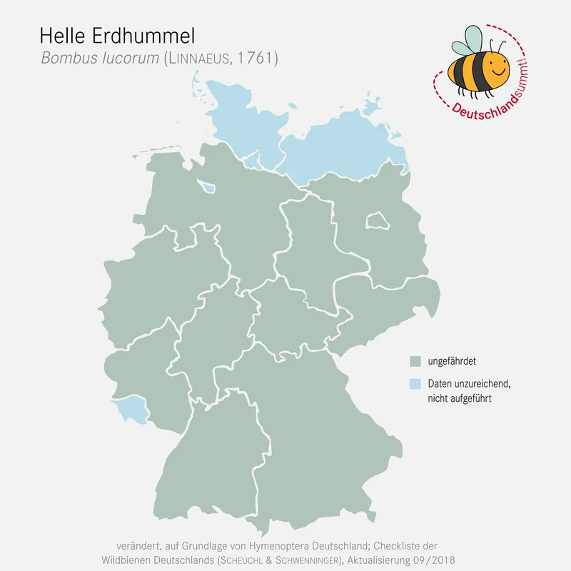 Klick führt zu Großansicht in einer Lightbox. Zum Schließen der Lightbox ESC drücken. Verbreitungskarte der hellen Erdhummel in Deutschland. 