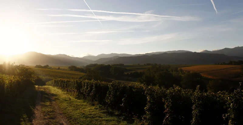 Landschaft, Klick führt zu Großansicht im neuen Fenster