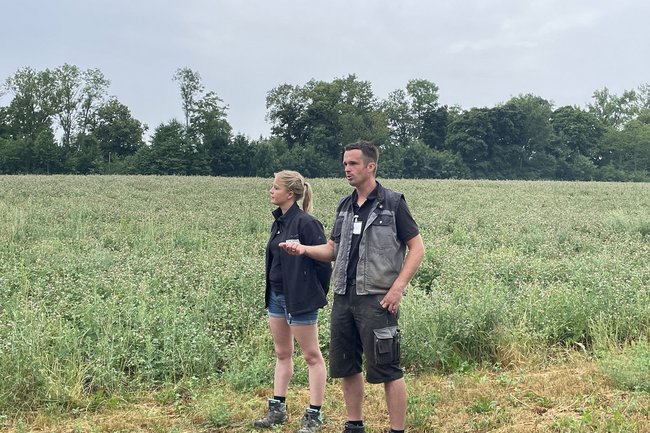 Eine Frau und ein Mann in einem Feld, die diskutieren.