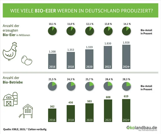 Infografik mit Zahlen zur Anzahl von Bio-Eiern und Bio-Betrieben mit Legehennen in Deutschland von 2016 bis 2024. Klick führt zu Großansicht in neuem Fenster, schließen per ESC.