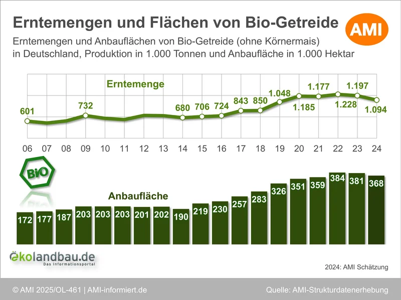 Infografik mit den Erntemengen und Anbauflächen von Bio-Getreide (ohne Körnermais) in Deutschland zwischen 2006 und 2024. Klick führt zu Großansicht in neuem Fenster.