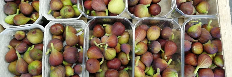Feigen in Papierschachteln.