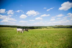 Ökologische Landwirtschaft Gerhard Steinbock