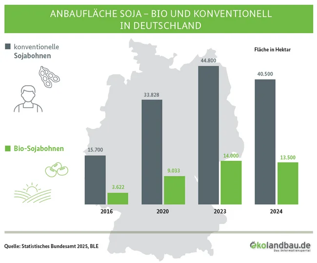 Balkendiagramm zur Anbaufläche von Bio- und konventionellen Sojabohnen. Klick führt zu Großansicht in neuem Fenster.