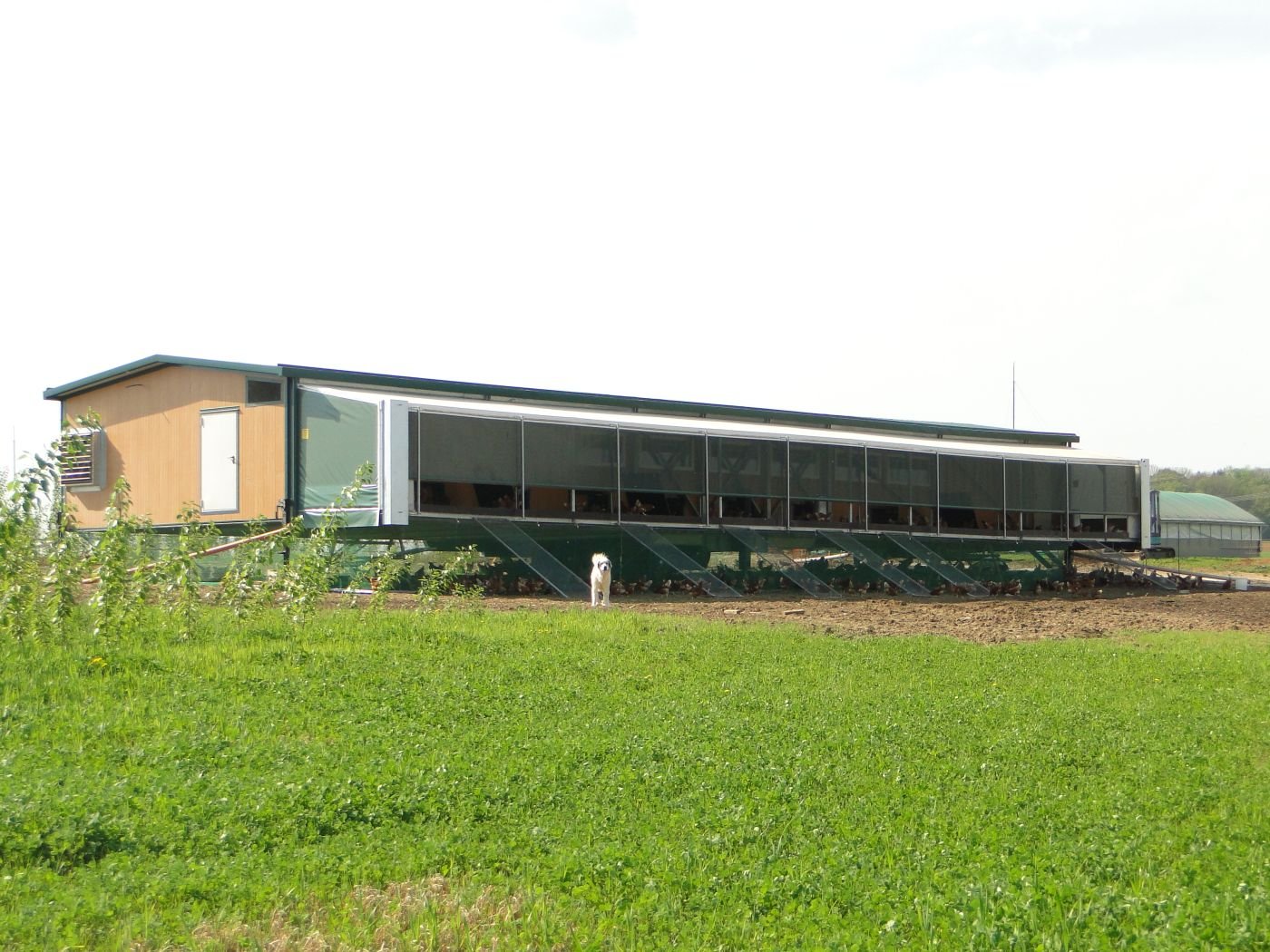 Hühnerstall