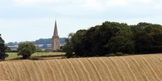 Fairpachten – Für mehr Naturschutz auf landwirtschaftlichen Pachtflächen