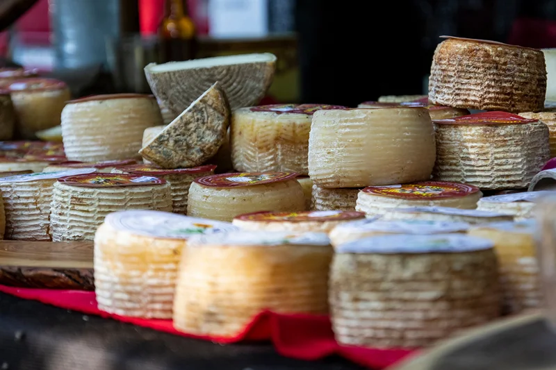 Verscheidene Ziegenkäse. Quelle: AdobeStock, J.C.Salvadores 