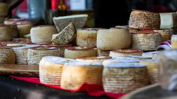 Verscheidene Ziegenkäse. Quelle: AdobeStock, J.C.Salvadores