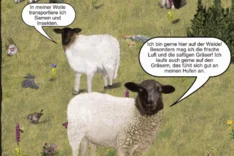 Heimische Schaf- und Ziegenprodukte: Ansätze zur Absatz- und Imageverbesserung