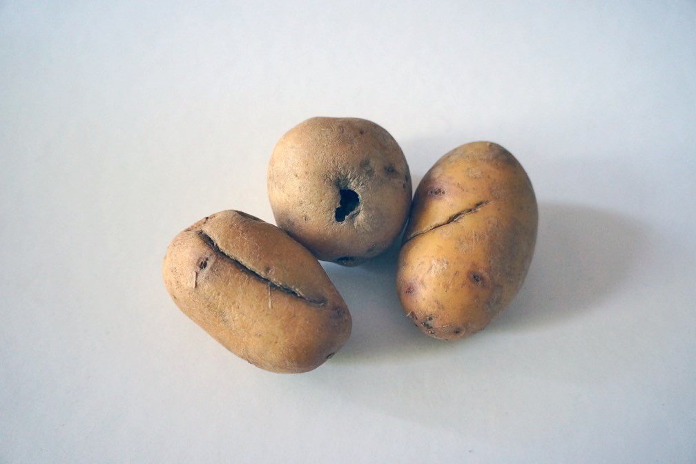 Kartoffeln mit Schönheitsfehlern. Foto: iss mich! Catering 