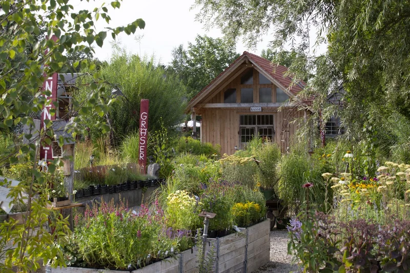 Blumen und Holzhaus