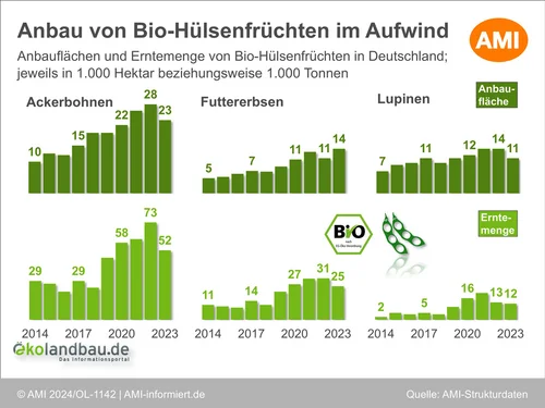 Grafik zur Anbaufläche und Erntemenge von Bio-Hülsenfrüchten in Deutschland. Klick führt zu Großansicht in einer Lightbox. Zum Schließen der Lightbox ESC drücken.