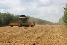 Nutzungsformen und Gehölze in Agroforstsystemen