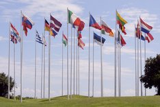 Bio-Anbaufläche in Europa wächst langsamer