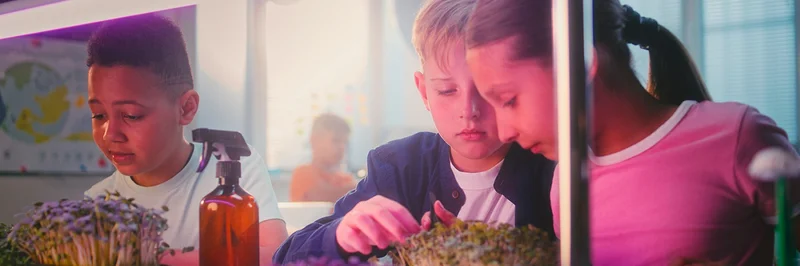 Kinder mit Kresse. 