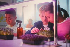 Landwirtschaftliche Bildung in der Grundschule