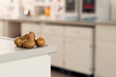 Kartoffeln auf einem Labortisch.