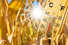 Wie wirkt sich die Klimakrise auf die Landwirtschaft aus?