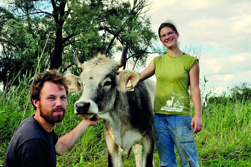 Mann und Frau mit Kuh auf Weide