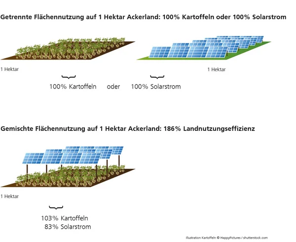 Grafik zur Flächeneffizienz