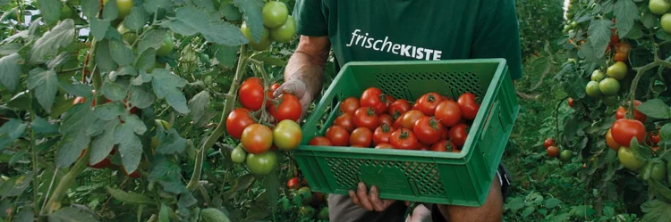 Mann mit Tomaten