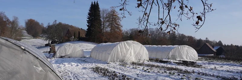 Winterlandschaft mit Roll-Folientunnel