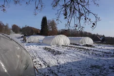 Frisches Gemüse auch im Winter ernten