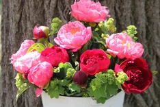 Bio-Schnittblumen
