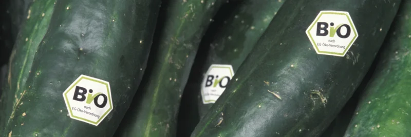 Gurken mit Bio-Siegel