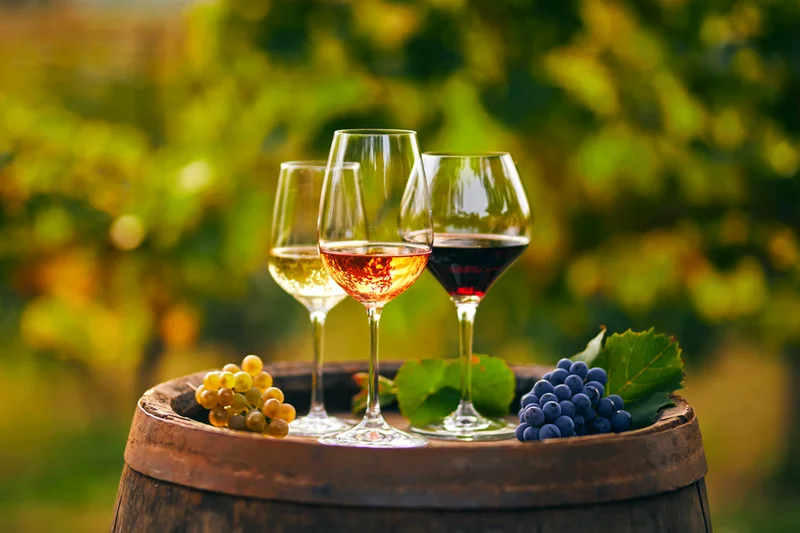 Wein in der Natur. Klick führt zu Großansicht im neuen Fenster.